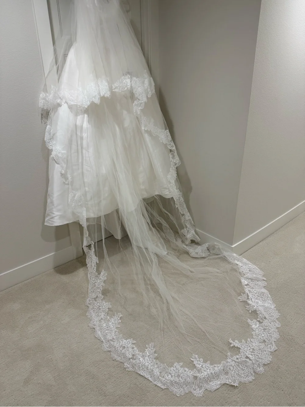 Pronovias White Wedding dress, cathedral veil & lace gloves